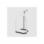 /fauteuil-pese-personne/ligne-scale-up-seca-balance-a-plate-forme-numerique-avec-poignees-p-4000572.2-600x600.jpg