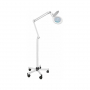 Lampe loupe VERA 4W + pince étau et pied à roulettes lesté Lampe loupe VERA 4W + pince étau et pied à roulettes lesté