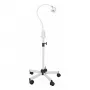 /lampes-d-examens/lampe-halogene-tina-20w-l65-cm-pied-a-roulettes-p-4000899.1-600x600.webp